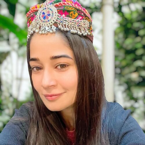 Faiza Gillani Biography
