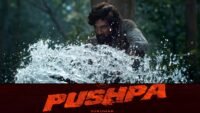 Pushpa Movie Hindi Dubbed