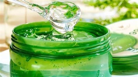 Benefits of applying aloe vera gel on face overnight