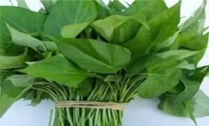 Benefits of sweet potato leave for women