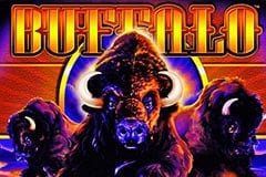 Buffalo Casino Game Free Play