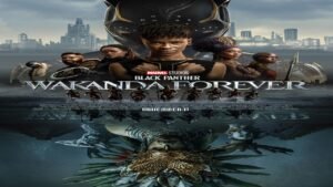Black Panther 2 In India